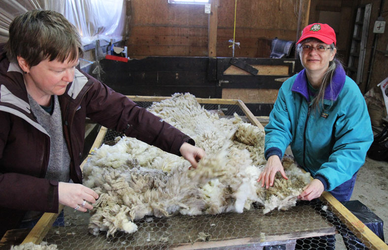 Skirting a fleece