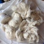 Partially felted cat fur