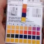 My pH test strip